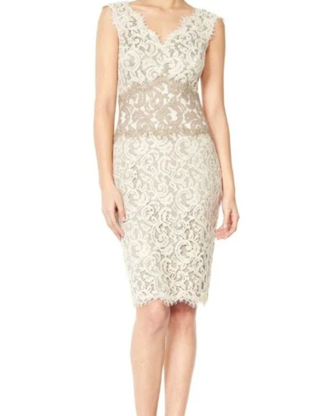 Tadashi Shoji Lace V-Neck Figure-Flattering Sheath Dress | Size 6